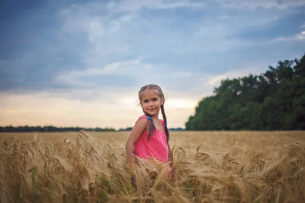 Boldog Lány Fut Sárga Búza Mező Felett Kék Háttér Élni — Stock Fotó