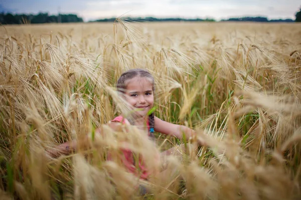 Happy Girl Sitting Yellow Wheat Field Blue Sky Background Live — Stock Photo, Image