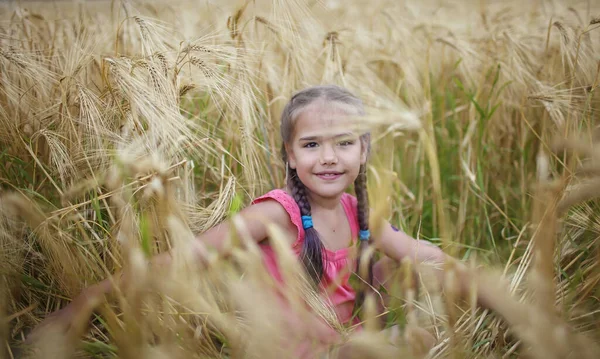 Boldog Lány Sárga Búza Mező Felett Kék Háttér Élni Életet — Stock Fotó