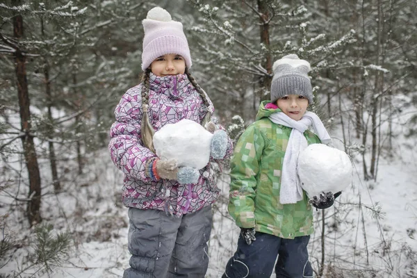 Barnen njuter av den första snön i vinterskogen, aktiva säsongsbetonade aktiviteter, livsstil — Stockfoto