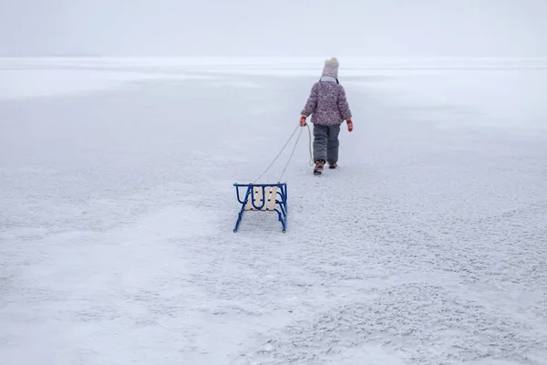 Ragazza godendo di un giro in slitta sul lago ghiacciato, inverno, silenzio e natura selvaggia, stile di vita — Foto Stock