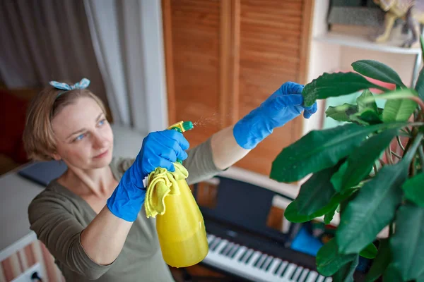 Young woman cleaning home plants on the windowsill, plant parents concept, home gardening, housework and chores, green environment at home, indoor lifestyle