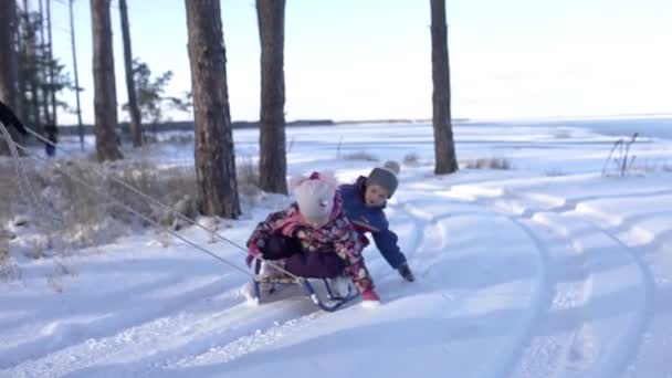 Crianças se divertindo e andando no trenó na floresta nevada de inverno, desfrutar de atividades ao ar livre sazonais — Vídeo de Stock