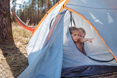 Çocuklar kamp alanında dinleniyor ve eğleniyorlar. Kumsalda, vahşi ormanların arasında. Aktif yerel tatiller.