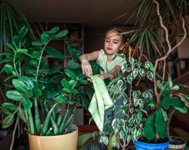 Penceredeki ev bitkileriyle ilgilenen sevimli kız, bitki ebeveynleri konsepti.