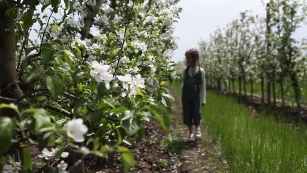 Chica preadolescente disfrutando del jardín de manzanas en flor en primavera, relajarse y la libertad, la belleza de la naturaleza — Vídeos de Stock