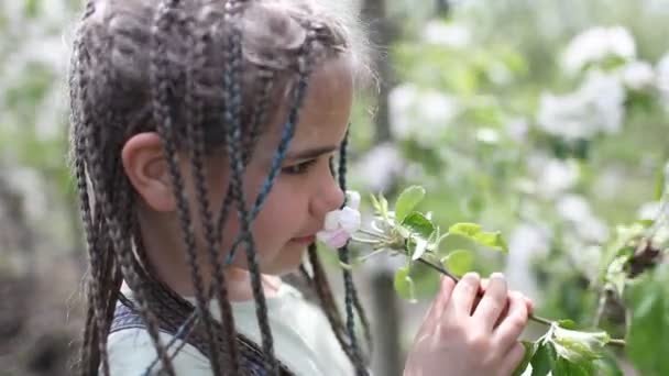 Menina adolescente desfrutando florescendo jardim de maçã na primavera, relaxar e liberdade, beleza da natureza — Vídeo de Stock