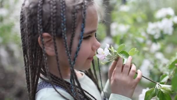 Menina adolescente desfrutando florescendo jardim de maçã na primavera, relaxar e liberdade, beleza da natureza — Vídeo de Stock