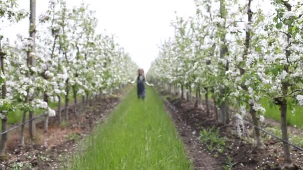 Menina adolescente desfrutando florescendo jardim de maçã na primavera, relaxar e liberdade, beleza da natureza — Vídeo de Stock
