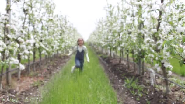 Ragazza preadolescente godendo di giardino di mele in fiore in primavera, relax e libertà, bellezza della natura — Video Stock