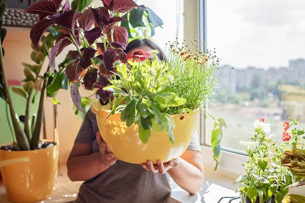 Woman taking care for home plants on the balcony window, plant parents concept