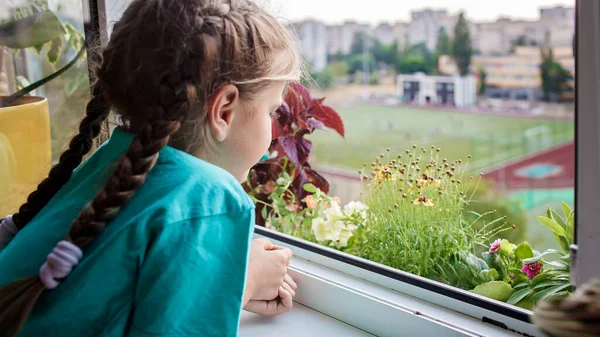 Söt flicka hjälper till att ta hand om hem växter på balkongen fönstret, växt föräldrar koncept — Stockfoto