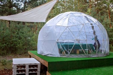 Ormanda şeffaf çan çadırı, glamping, lüks seyahat, büyüleyici kamp, açık havada yaşam tarzı.