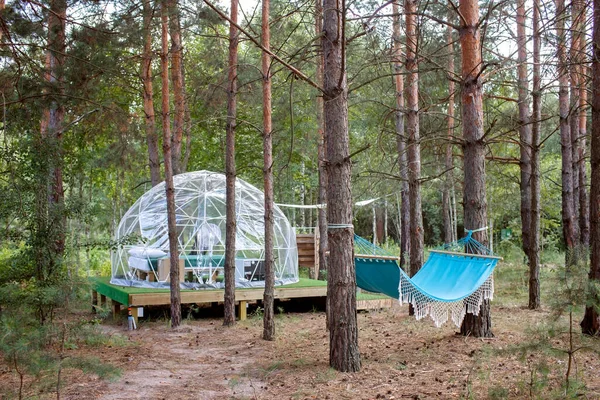 Barraca de sino transparente na floresta, glamping, viagens de luxo, camping fascinante, estilo de vida ao ar livre — Fotografia de Stock