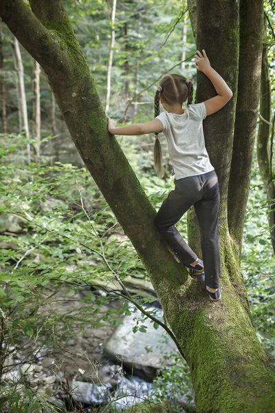 숲 속을 걷는 소녀, 자연 과 자신을 탐험하기 위해 혼자 여행하는 여자 건강 과느리게 사는 여자 — 스톡 사진