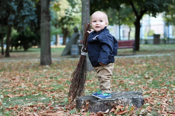 Concepto de otoño y Halloween — Foto de Stock