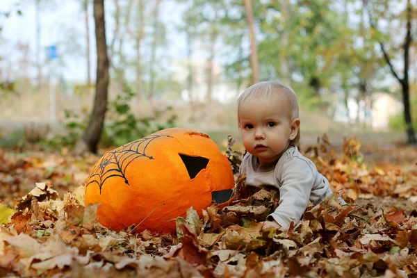 Concepto de otoño y Halloween — Foto de Stock