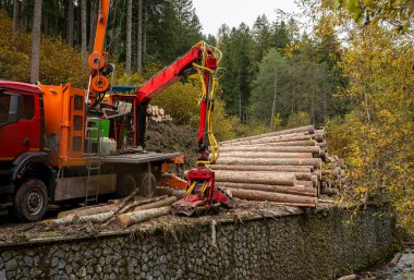 Orman kesme ve işleme makineleri dağ ormanlarında ahşap hasatı sırasında. Yüksek kalite fotoğraf