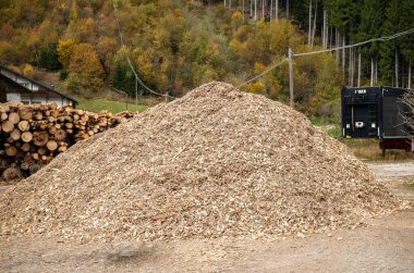 Orman bölgesindeki kereste işleminden kalma büyük odun parçaları ve talaş yığını. Yüksek kalite fotoğraf