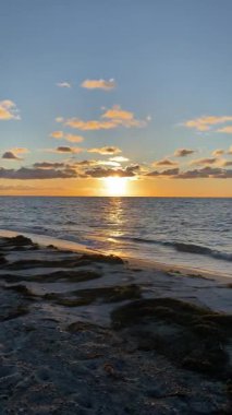 Falsterbo 'daki Baltık Denizi sahilinde kış günbatımı. Yüksek kaliteli FullHD görüntüler