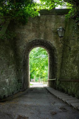 Tarihi Avrupa parkında yemyeşil ağaçlarla çevrili manzaralı taş kemer tünel yolu. Yüksek kalite fotoğraf
