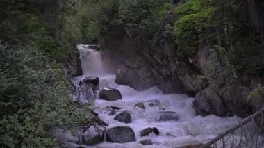 Avusturya Alpleri 'ndeki kayalık vadide şelale ve yemyeşil ormanlarla akan manzaralı dağ nehri. Yüksek kalite 4k görüntü