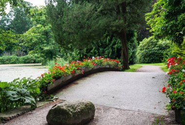 Hollanda parkının yakınlarında kırmızı çiçekli ve yeşil ağaçlı güzel bir bahçe yolu. Yüksek kalite fotoğraf