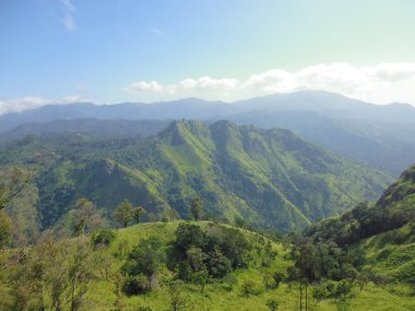 Sri Lanka yeşil dağ