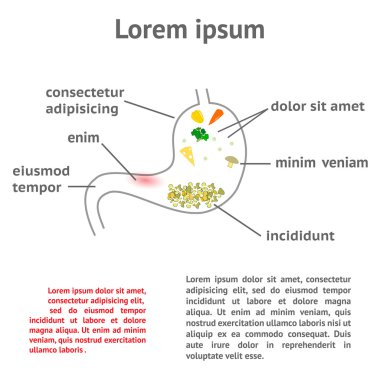 Patoloji mide ve sindirim