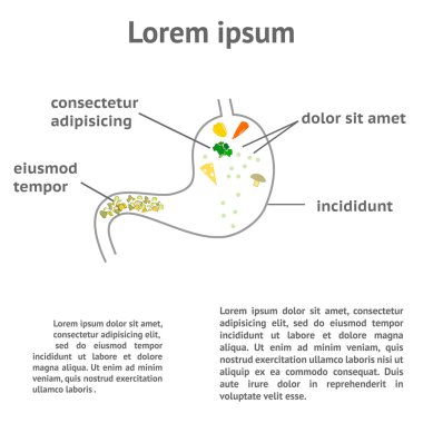 sindirim normal süreç
