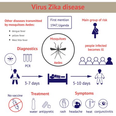 Infographics virüs Zika