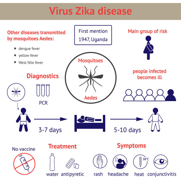 Infographics virus Zika