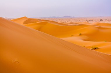 Dune katmanları