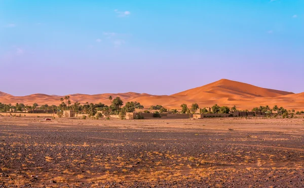 The frontier of the desert — Stock Photo, Image