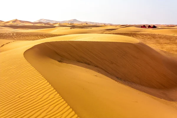 Living in Sahara — Stock Photo, Image