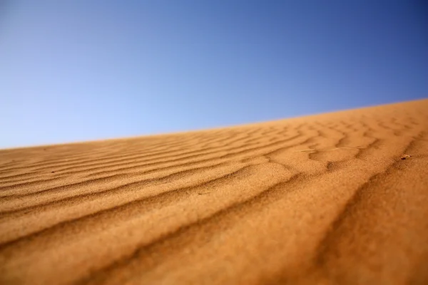 Windmuster auf Sand — Stockfoto