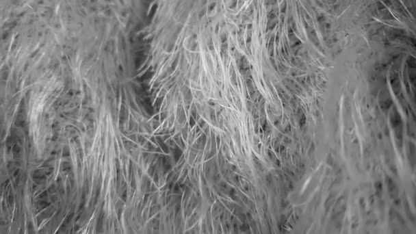 Gray faux fur. Background texture. Gray pile close up. — Stock Video
