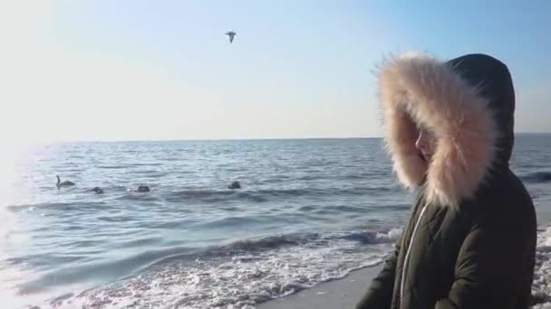 Adolescente regarde au loin. Les cygnes gris nagent dans l'eau. La fille sur le fond de la mer regarde les oiseaux. — Video