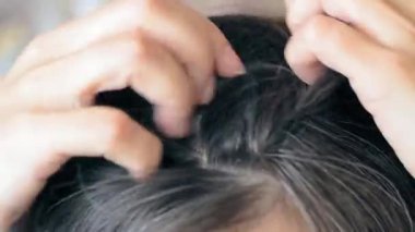 Genç kadın gri saçlarından bakıyor. Gri saç yakın plan. Eski gri saçlar. Yaşlanan genç kadın kavramı.