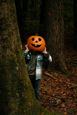 Ormanda oyulmuş balkabağı kafalı, sonbahar ormanı geçmişi olan tanınmamış bir çocuk. Cadılar Bayramı balkabağı fener sezonu