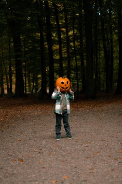 Ormanda oyulmuş balkabağı kafalı, sonbahar ormanı geçmişi olan tanınmamış bir çocuk. Cadılar Bayramı balkabağı fener sezonu
