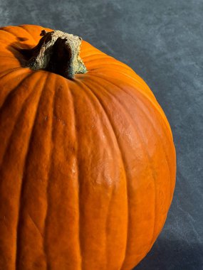 Close up of a ripe orange pumpkin on grey table, retro autumn harvest background
