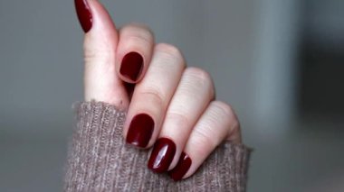 Koyu kırmızı tırnaklı kadın elleri, mükemmel kış ve sonbahar manikürü. Yüksek kaliteli FullHD görüntüler