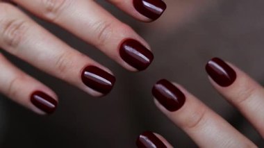 Koyu kırmızı tırnaklı kadın elleri, mükemmel kış ve sonbahar manikürü. Yüksek kaliteli FullHD görüntüler