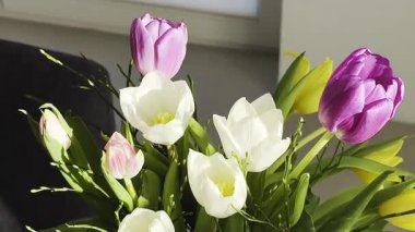 Vazoda sergilenen pembe, beyaz ve sarı çiçekli canlı lale buketi. Kapalı bir ortamda güneş ışığıyla güzelce aydınlatılıyor.