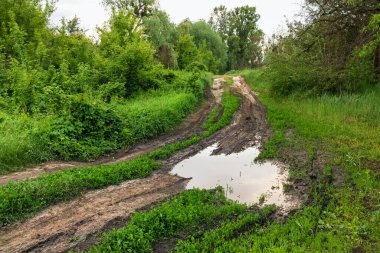 Su birikintisi, çamur, yeşil çimenler ve ağaçlarla dolu pis bir köy yolu. Kırsalda yağmurdan sonra bir patika