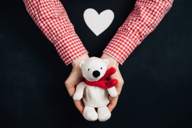 Sevimli beyaz ayı tutan eller