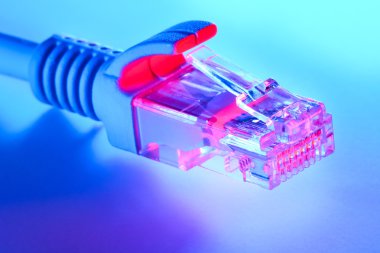 Connector for Internet and network connection RJ45. Version with blue and white lighting.