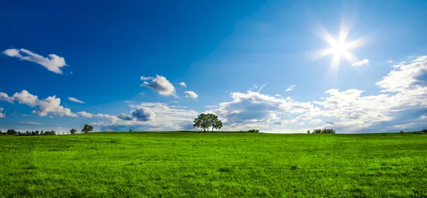 Πανέμορφο τοπίο με ένα μοναχικός δέντρο, τα σύννεφα και μπλε του ουρανού (croped έκδοση με κορεσμένο χρώμα) — Φωτογραφία Αρχείου