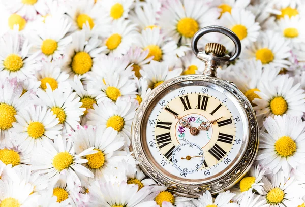 Relógio de bolso em uma bela flores românticas — Fotografia de Stock